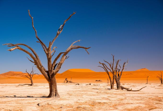 Namibia, Simbabwe & Botswana - Rundreise & Safari