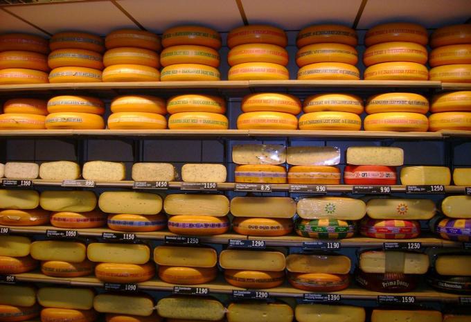 IJsselmeer - Tour à vélo