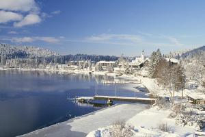 Titisee