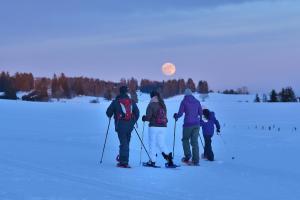 Schneeschuhwanderung, Yverdon-les-Bains