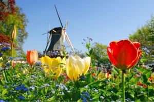 Amsterdam - ÖBB Nightjet & Keukenhof Holland