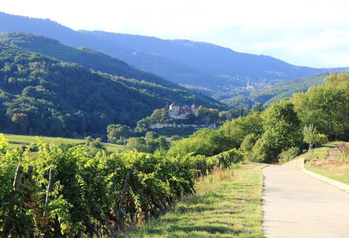 Alsace & Brisgau - Tour à vélo