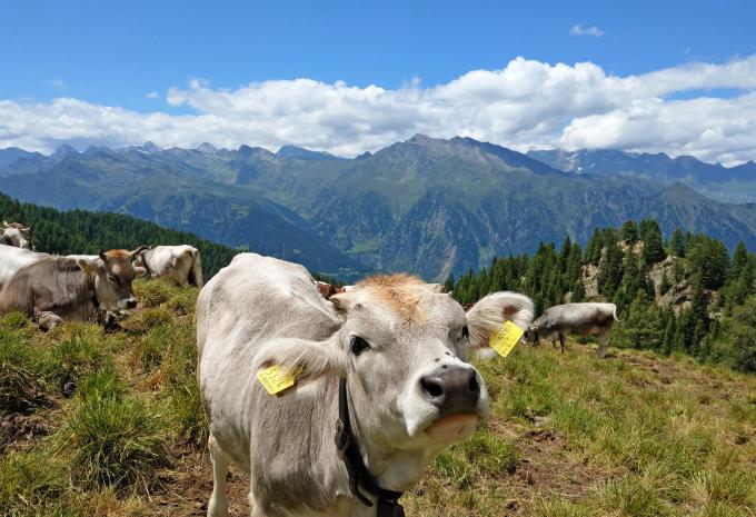 Attraversare le Alpi E5 da Landeck a Merano - Tour escursionistico