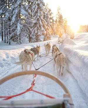 Winterferien in Lappland: Unsere Tipps