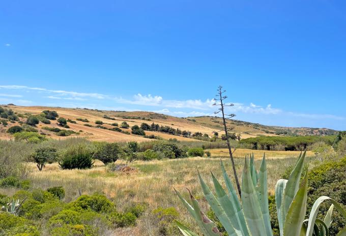 Le long de la côte portugaise - tour à vélo