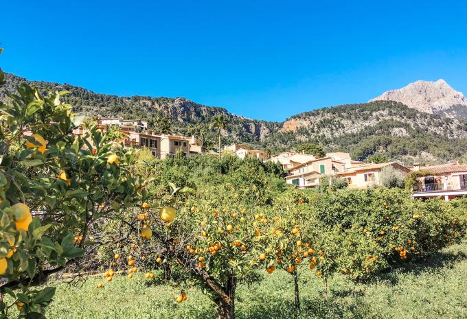 Maiorca andata e ritorno - tour in bicicletta