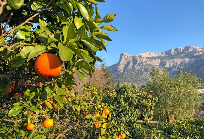 Maiorca andata e ritorno - tour in bicicletta