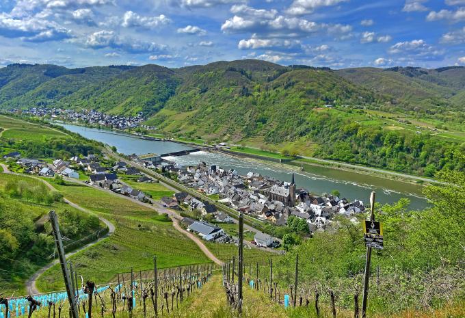 Die Höhepunkte des Moselsteigs - Wanderreise