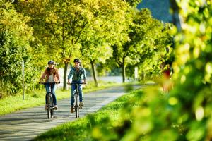 Entlang des Mosel-Veloweges von Metz nach Koblenz - Velotour