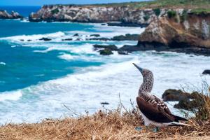 Ecuador e Piccole Galápagos - Tour