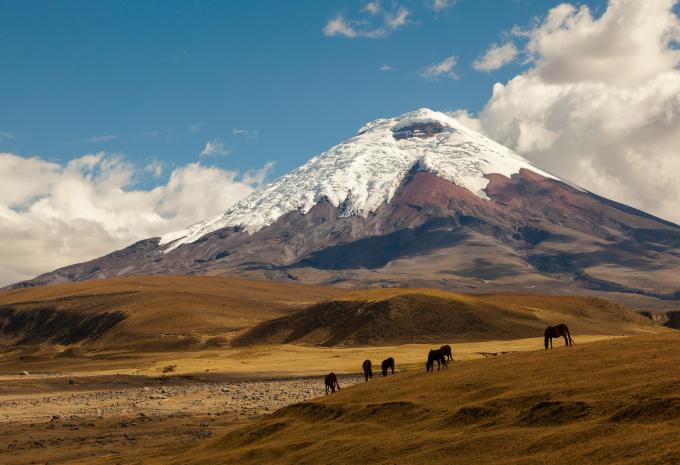 Ecuador & Klein-Galápagos - Rundreise