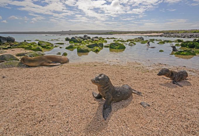 Ecuador & Klein-Galápagos - Rundreise