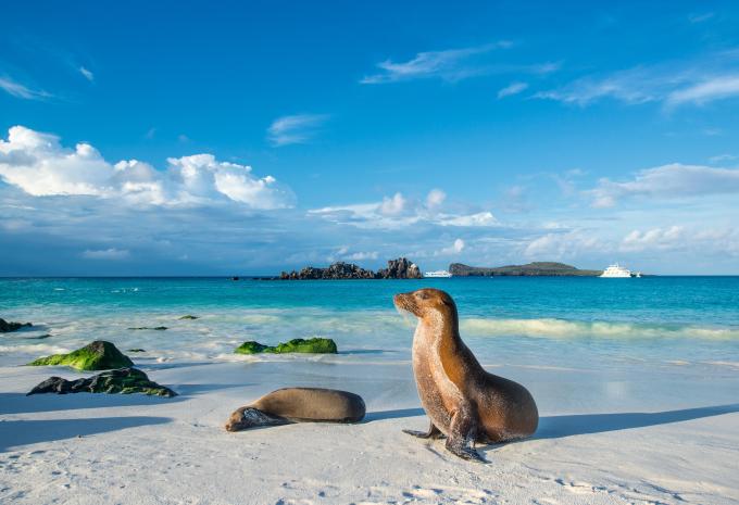 Ecuador & Klein-Galápagos - Rundreise