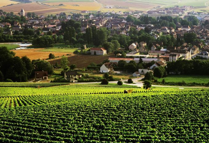 Vins et culture de la Bourgogne - tour à vélo en petit groupe avec guide