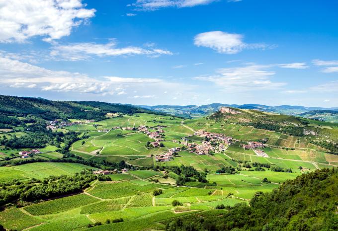 Vins et culture de la Bourgogne - tour à vélo en petit groupe avec guide
