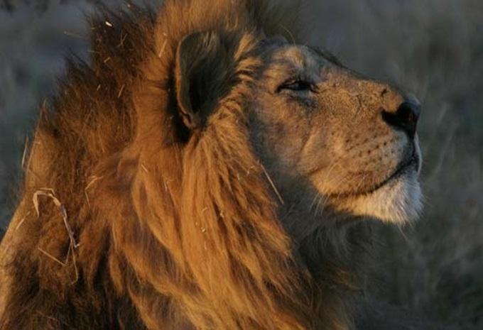 Botswana, Zimbabwe et Afrique du Sud - Circuit d'aventure et safari