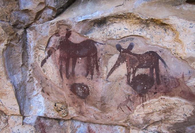 Botswana, Zimbabwe et Afrique du Sud - Circuit d'aventure et safari