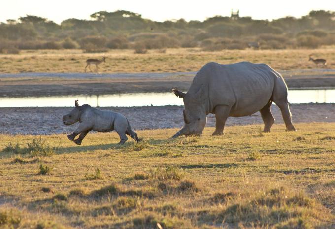 Botswana, Zimbabwe et Afrique du Sud - Circuit d'aventure et safari