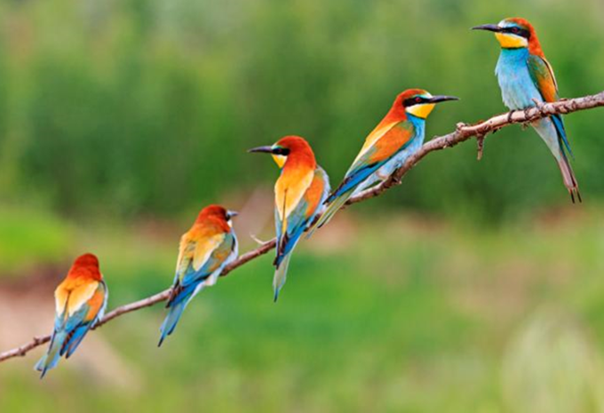 Botswana, Zimbabwe et Afrique du Sud - Circuit d'aventure et safari