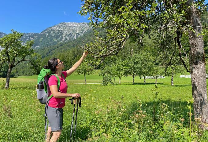 Sentiero dei laghi del Salzkammergut - Escursione