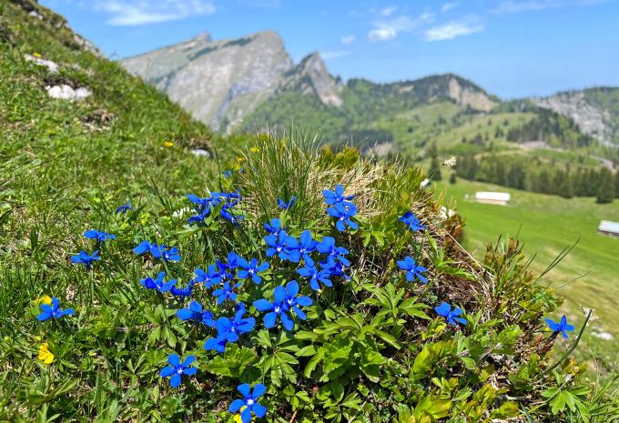 Sentiero dei laghi del Salzkammergut - Escursione