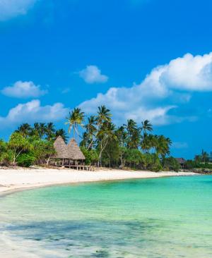 Sansibar: traumhafte Ferien am Strand