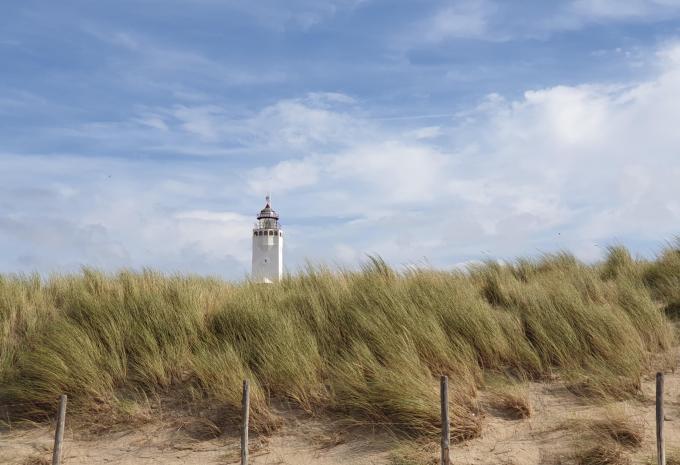 Highlights dei Paesi Bassi - tour in bicicletta