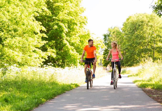 Highlights dei Paesi Bassi - tour in bicicletta