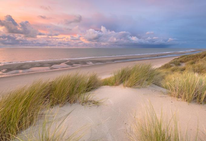 Highlights dei Paesi Bassi - tour in bicicletta