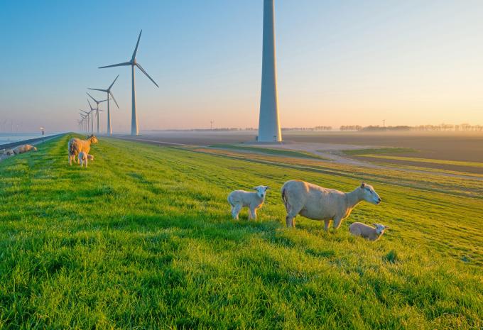 Highlights dei Paesi Bassi - tour in bicicletta