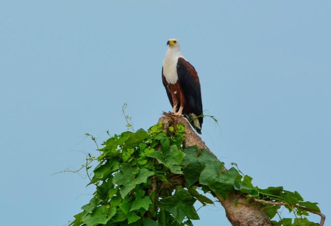 Sansibar - Safari & Baden