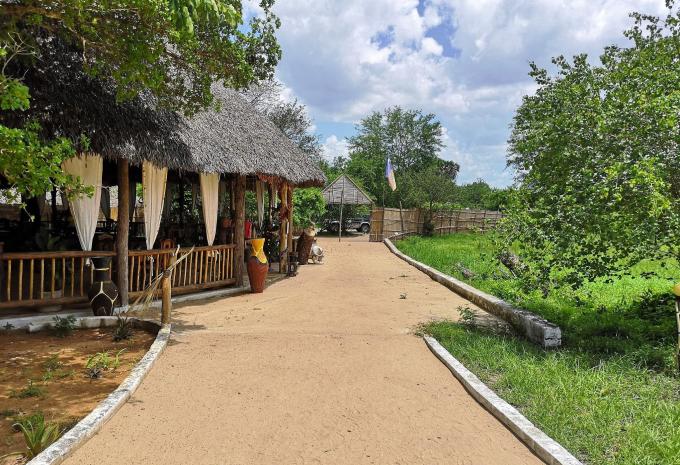 Africa Safari Selous