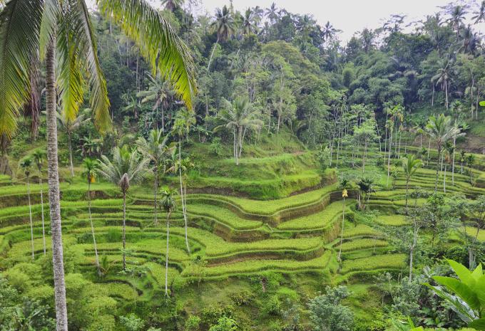 Bali - Tour & soggiorno balneare