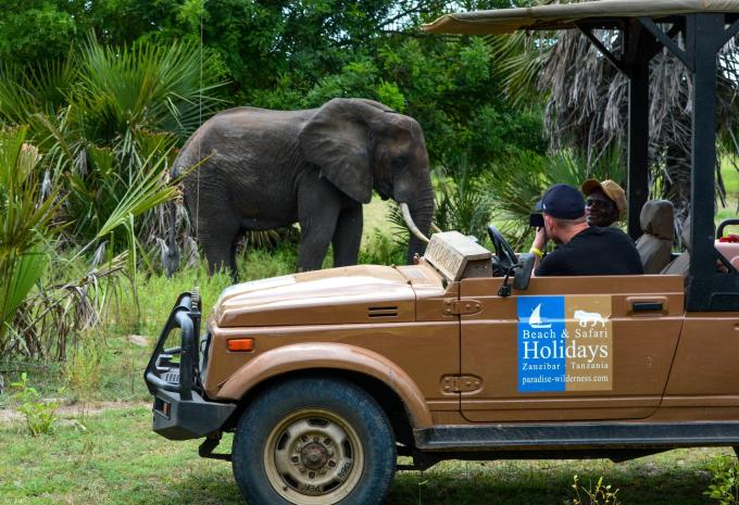 Sansibar - Safari & Baden