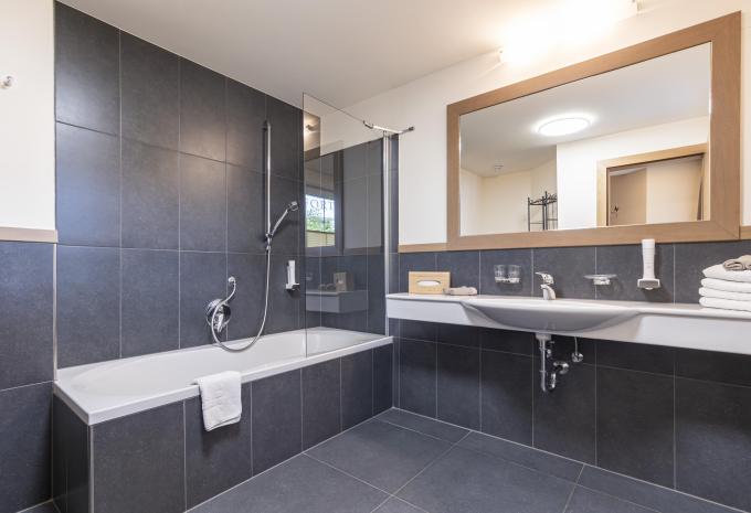 Zimmerbeispiel Suite Standard Balkon