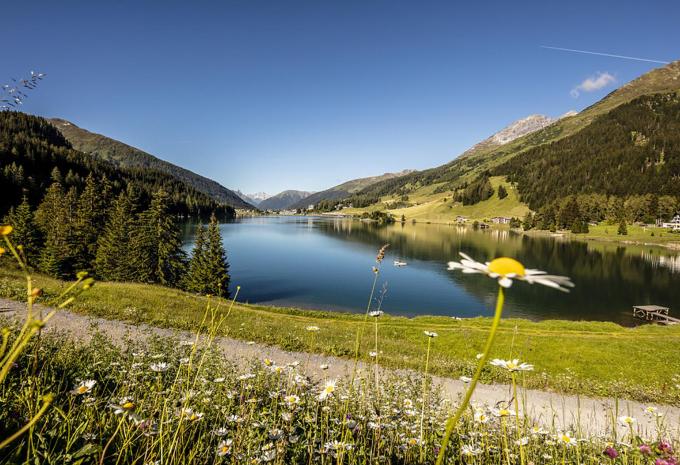 Davos Davos