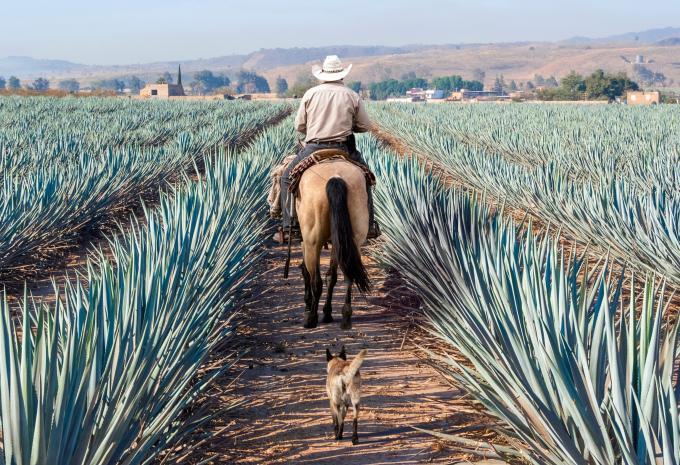 Von Mexiko-Stadt an die Karibik - Rundreise & Baden