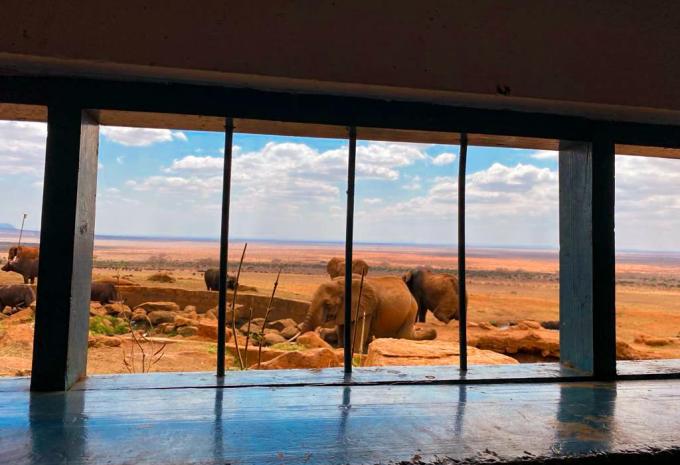 Kenia - Safari & Baden