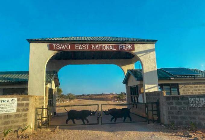 Kenia - Safari & Baden