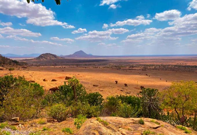 Kenia - Safari & Baden