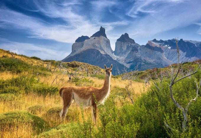 Torres del Paine - Chile