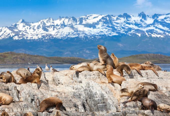 Beagle Kanal - Ushuaia