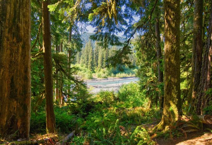 Olympic-Nationalpark