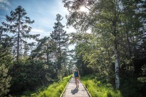 Bad Wildbad nella Foresta Nera