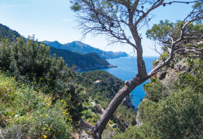 Mallorca  - Wanderreise