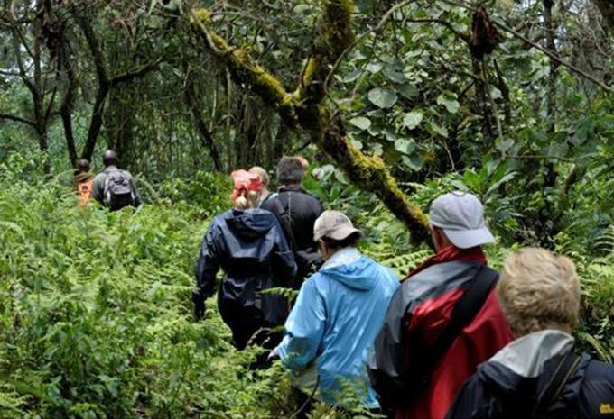 Uganda - Luxus Abenteuer-Rundreise