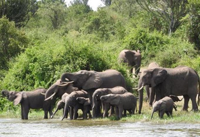 Uganda - Luxus Abenteuer-Rundreise