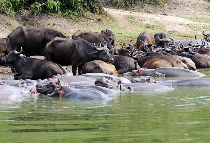 Uganda - Luxus Abenteuer-Rundreise
