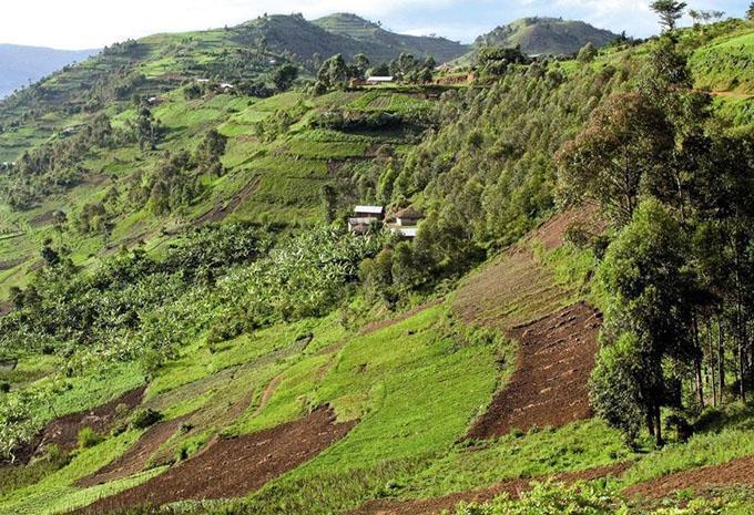 Uganda - Luxus Abenteuer-Rundreise