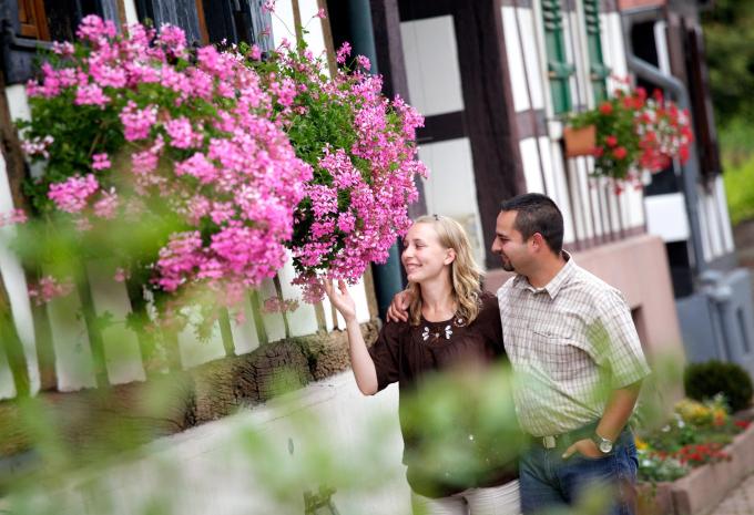 ibis Haguenau Strasbourg Nord ibis Haguenau Strasbourg Nord